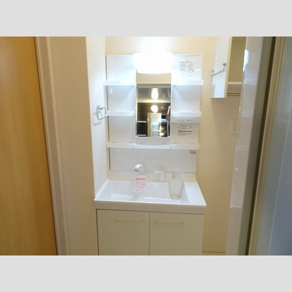 洗面所 (室内洗濯機置場)