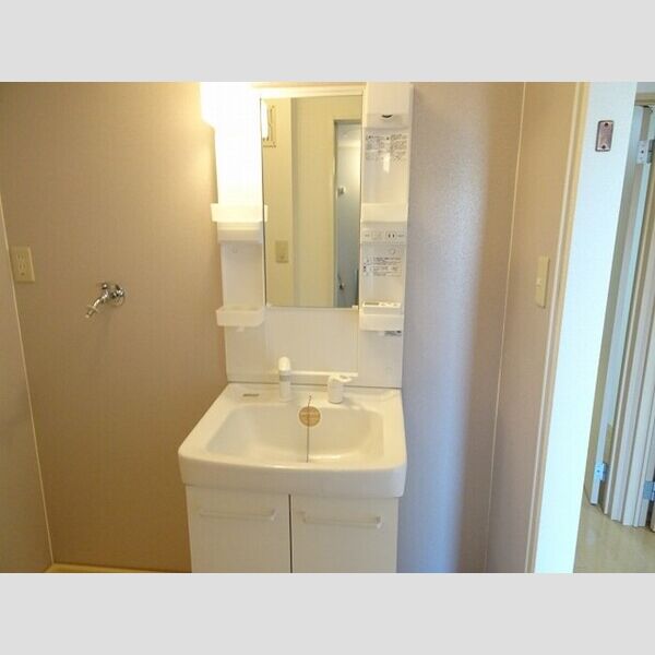 洗面所 (洗髪洗面化粧台)