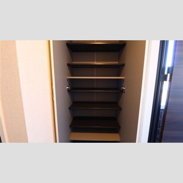 玄関 (姿身付きシューズボックス)