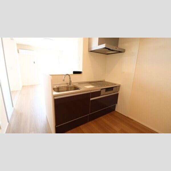 その他 (対面式システムキッチン(IHコンロ付き))