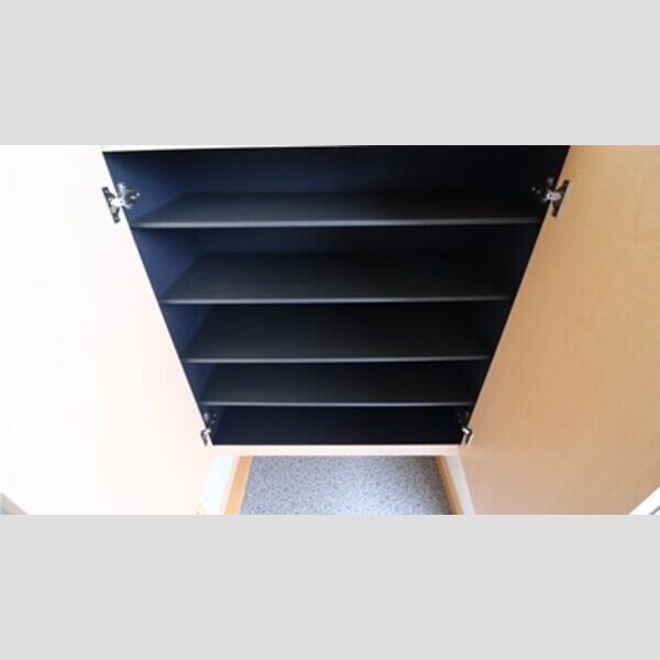 玄関 (シューズボックス内)