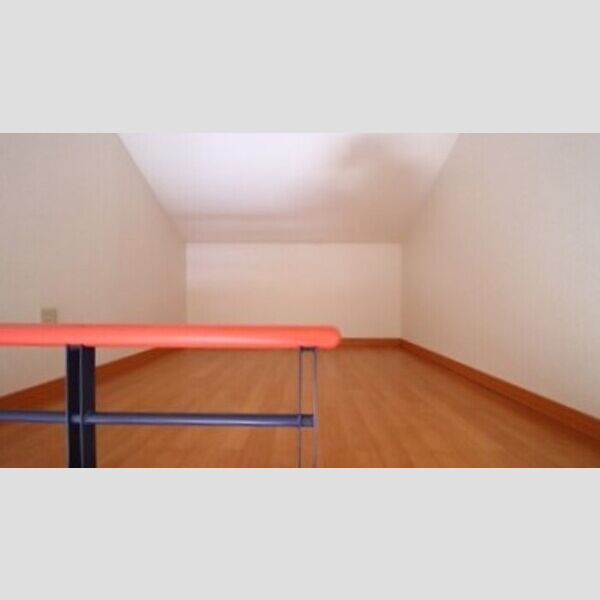 その他 (小屋裏収納)