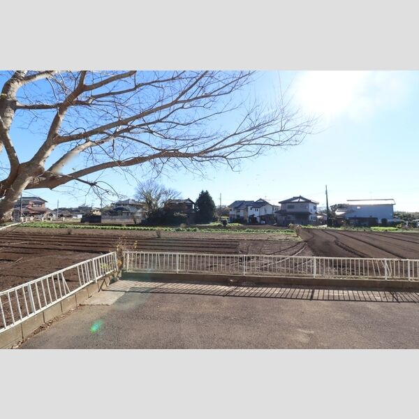 現地周辺 (窓からの風景)