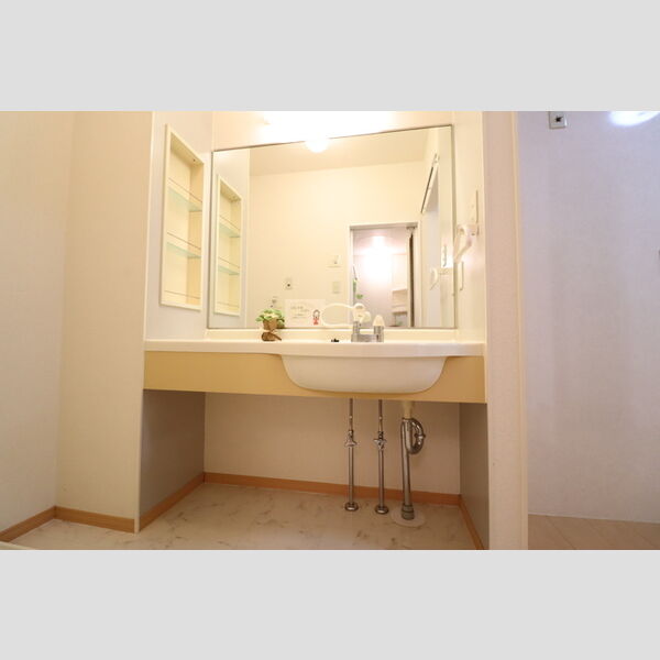 洗面所 (大型洗髪洗面化粧台)