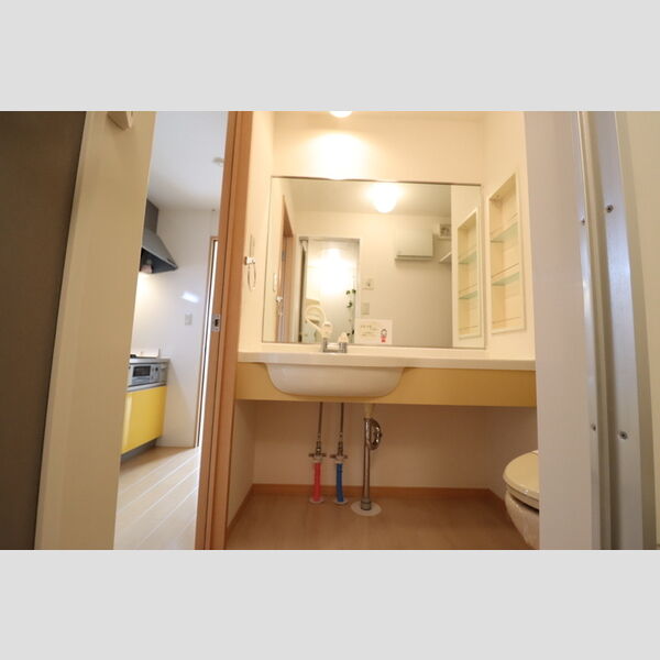 洗面所 (大型洗髪洗面化粧台)