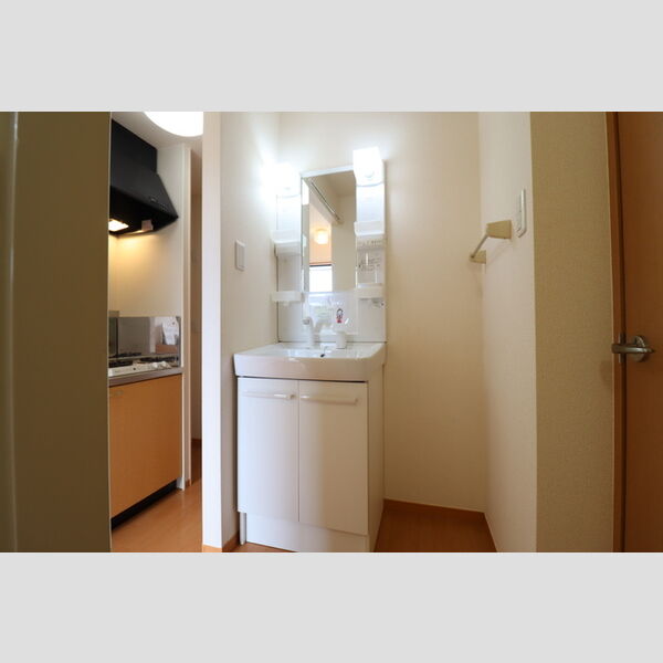 洗面所 (洗髪洗面化粧台)