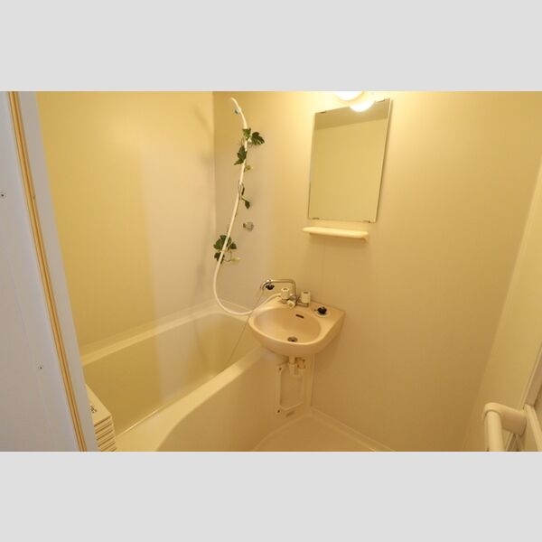 バス (洗面台浴室)