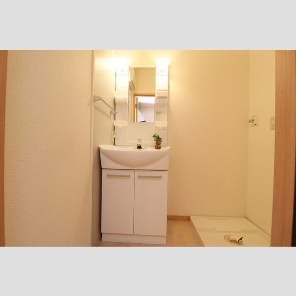 洗面所 (洗面台、洗濯機置き場)