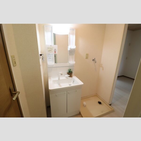洗面所 (洗髪洗面化粧台、洗濯機置き場)