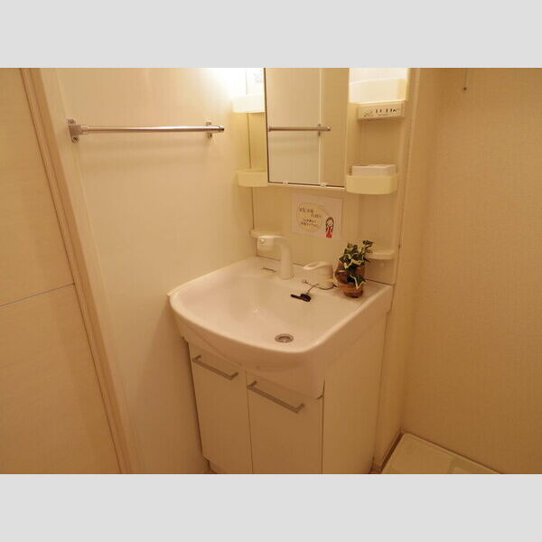 洗面所 (洗髪洗面化粧台)