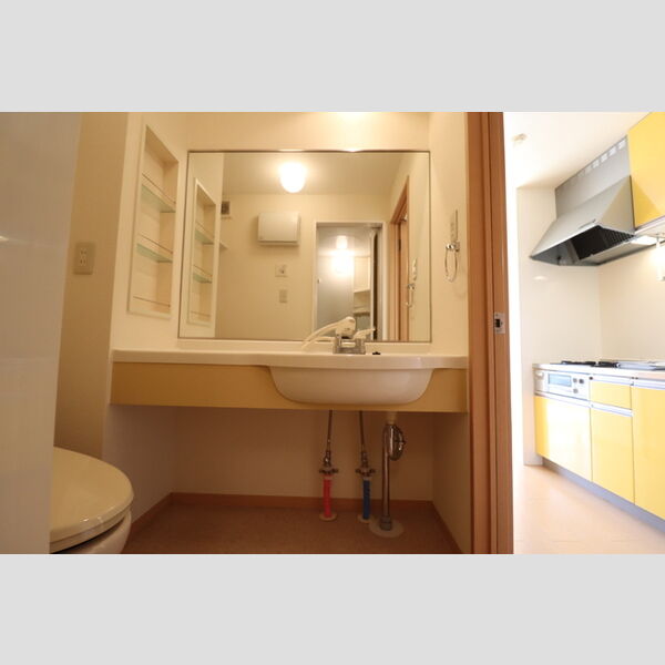 洗面所 (大型洗髪洗面化粧台)