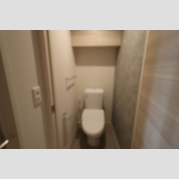 トイレ (もちろん温水洗浄暖房便座です)