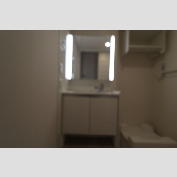 洗面所 (洗髪洗面化粧台(二面鏡))