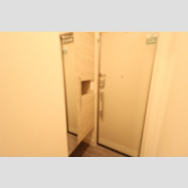 玄関 (トールタイプシューズボックス(姿見鏡付))