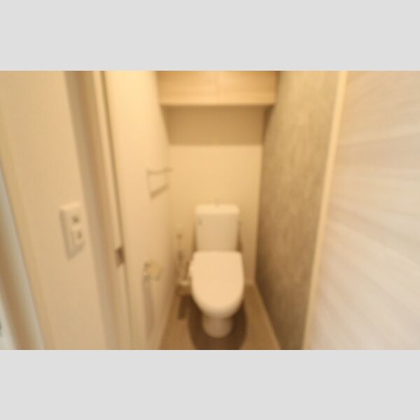 トイレ (もちろん温水洗浄暖房便座です)