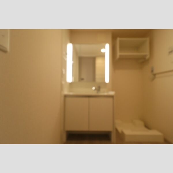 洗面所 (洗髪洗面化粧台(二面鏡))