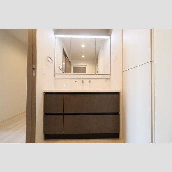 洗面所 (大型洗髪洗面化粧台(三面鏡))