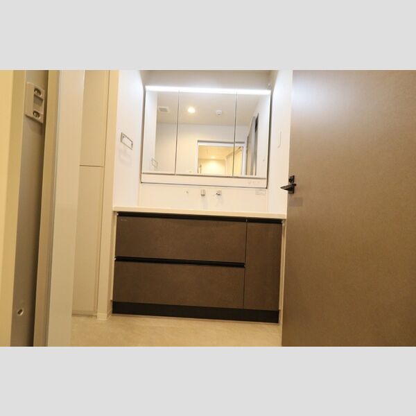 洗面所 (大型洗髪洗面化粧台)