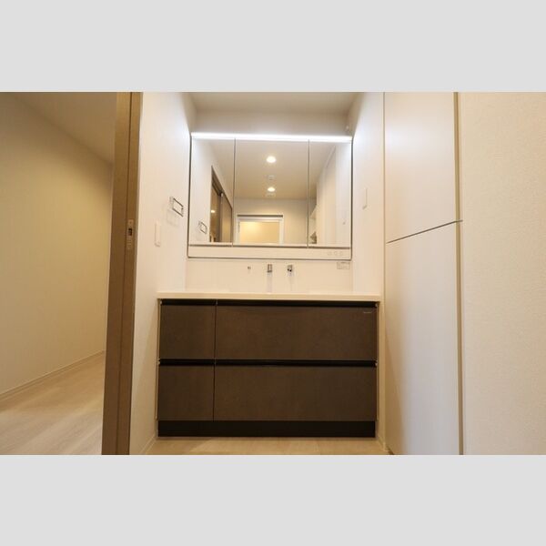 洗面所 (大型洗髪洗面化粧台(三面鏡))