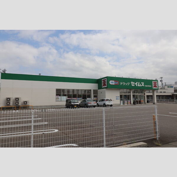 現地周辺 (ドラックストアーセイムス東金沢駅前店)