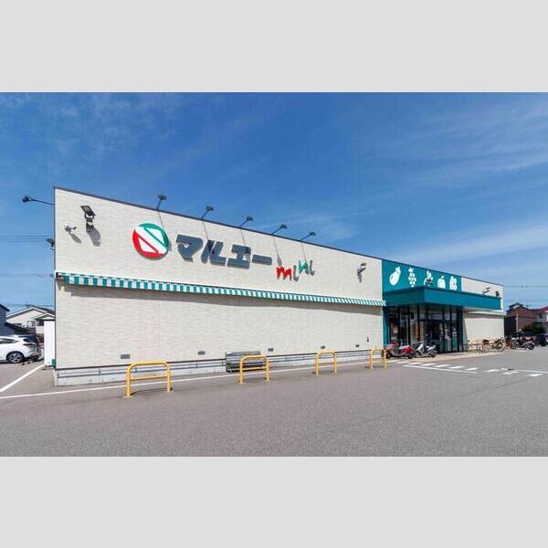 現地周辺 (③マルエーmini金石店)