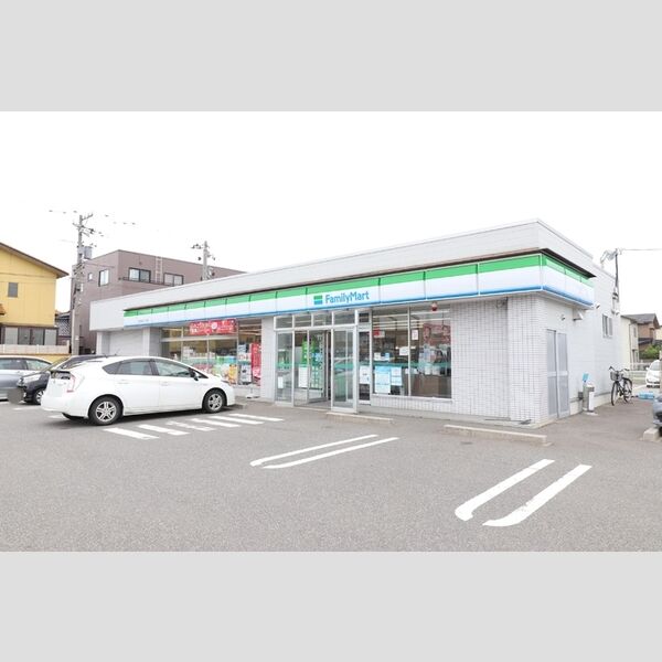 その他 (ファミリーマート)