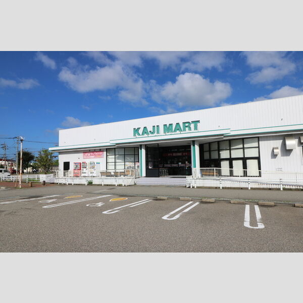 その他 (カジマート桜田店)