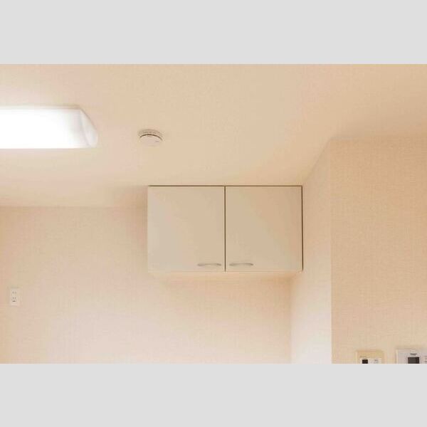 その他 (キッチン収納)