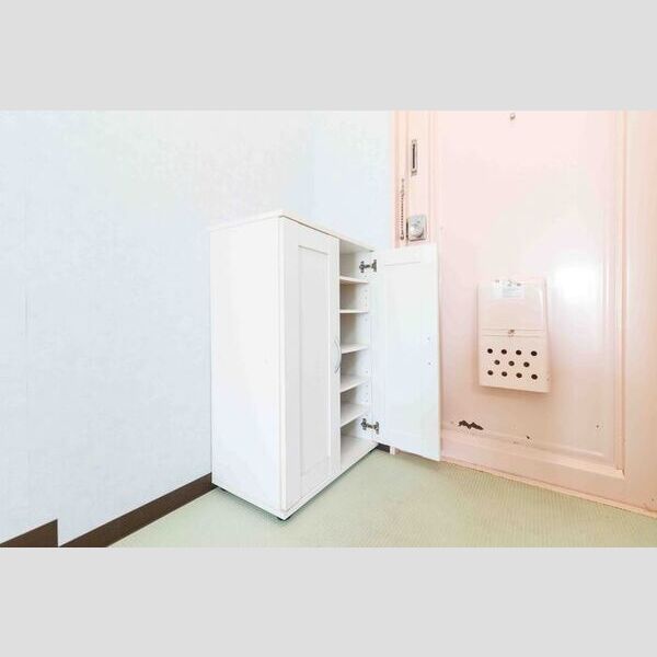 その他 (205・シューズ箱)