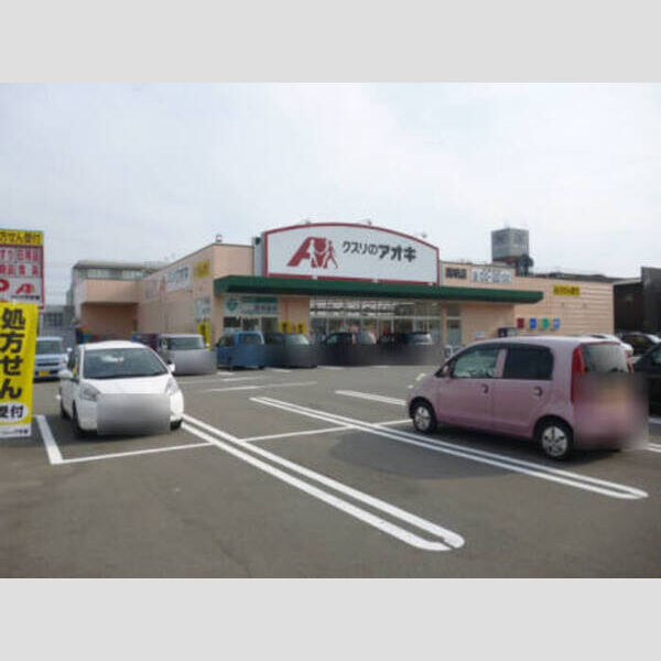 現地周辺 (クスリのアオキ)