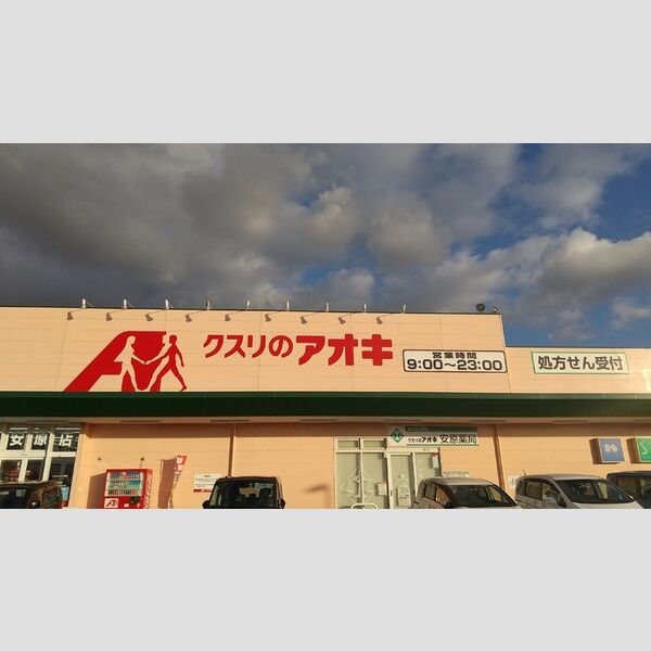 現地周辺 (クスリのアオキ安原店)