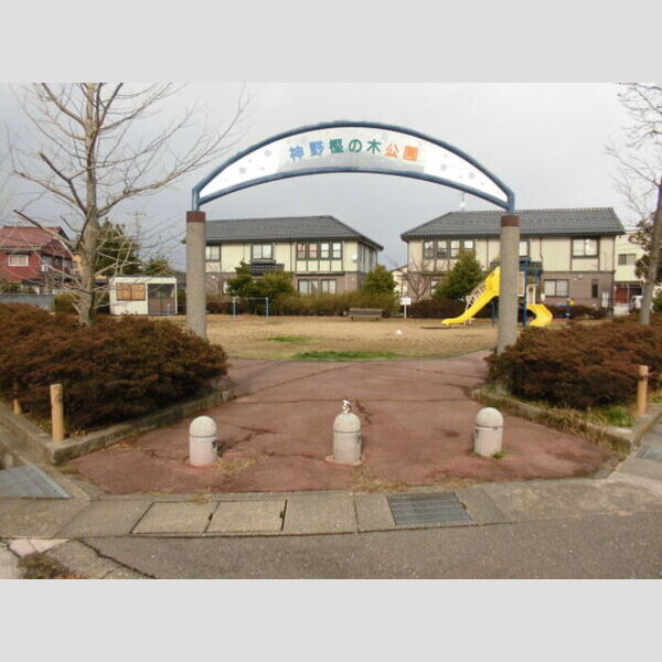 現地周辺 (樫の木公園)