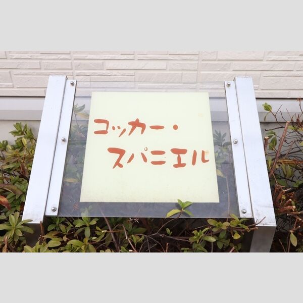 現地周辺 (アパート名)