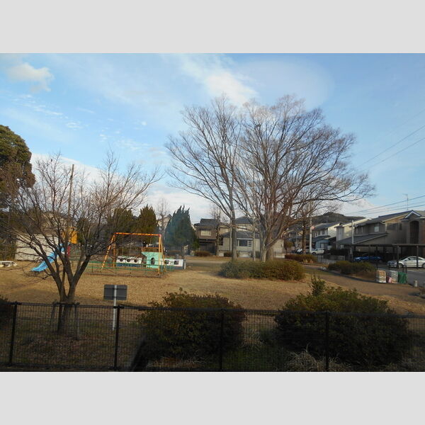 現地周辺 (専用庭から(公園))