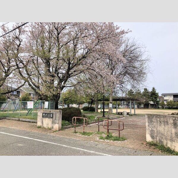 現地周辺 (野代公園　150m)