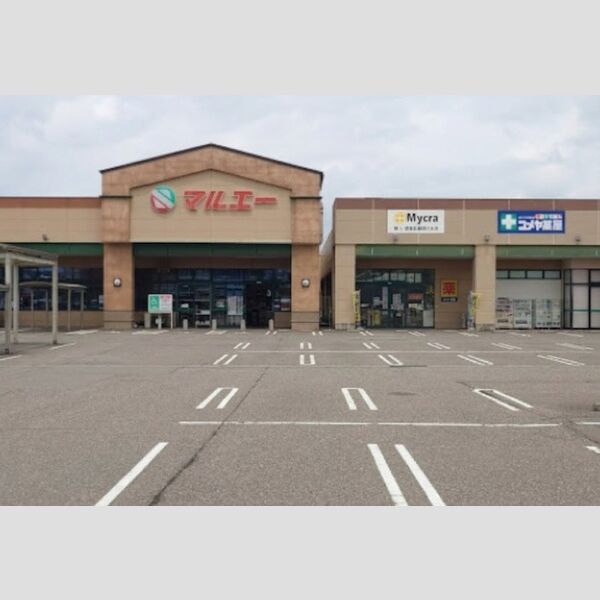 現地周辺 (マルエー根上店 275m)