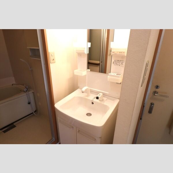 洗面所 (洗面台(洗髪洗面化粧台))
