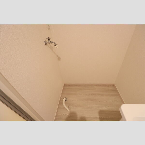 その他 (室内洗濯機置場)