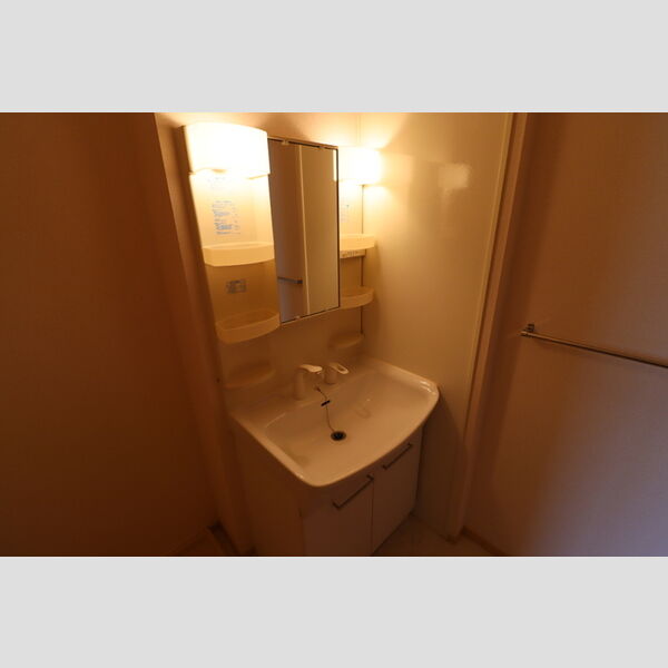 洗面所 (洗髪洗面化粧台)