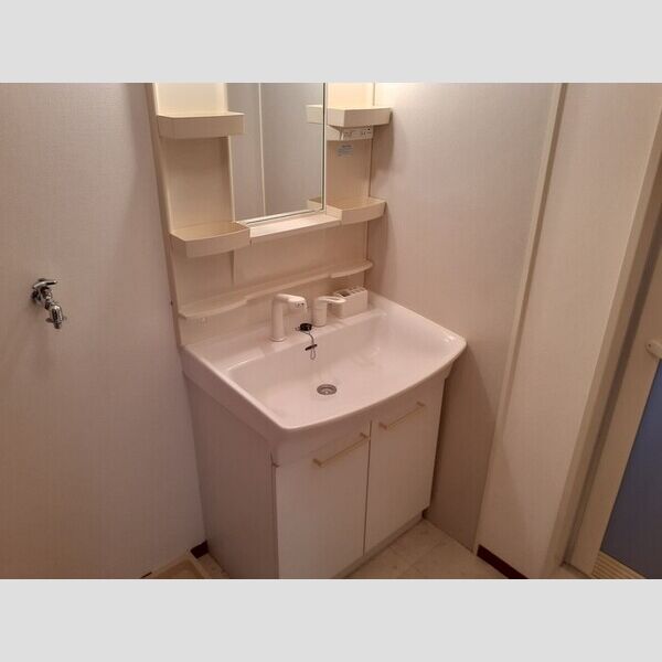 洗面所 (洗髪洗面化粧台)