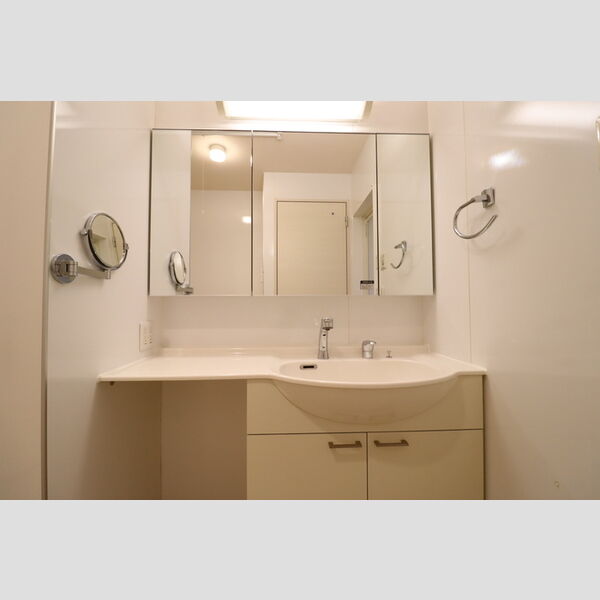 洗面所 (洗髪洗面化粧台)