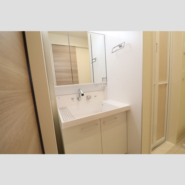 洗面所 (洗髪洗面化粧台)