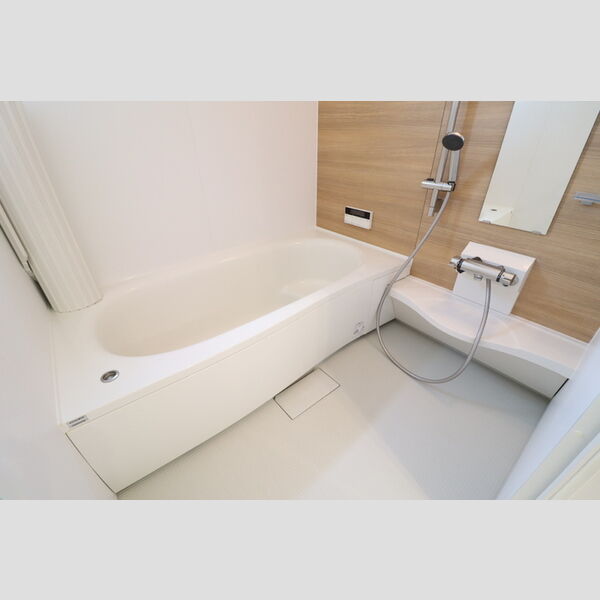 バス (追い焚き給湯・一坪風呂)