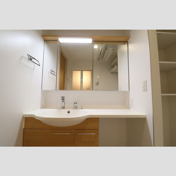 洗面所 (洗髪洗面化粧台)