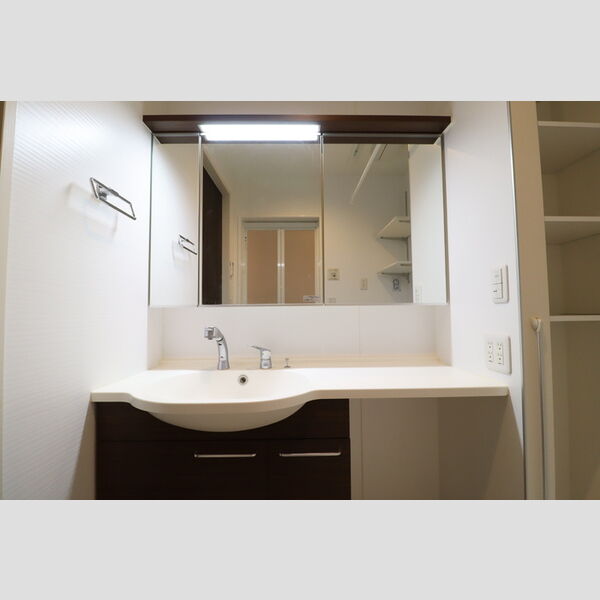 洗面所 (洗髪洗面化粧台)