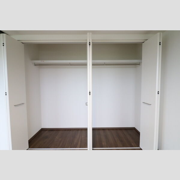 収納 (クローゼット)