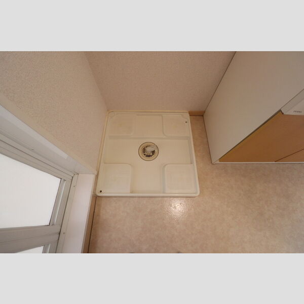 その他 (室内洗濯機置場)