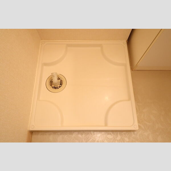 その他 (室内洗濯機置場)