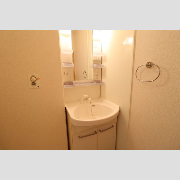洗面所 (洗髪洗面化粧台)