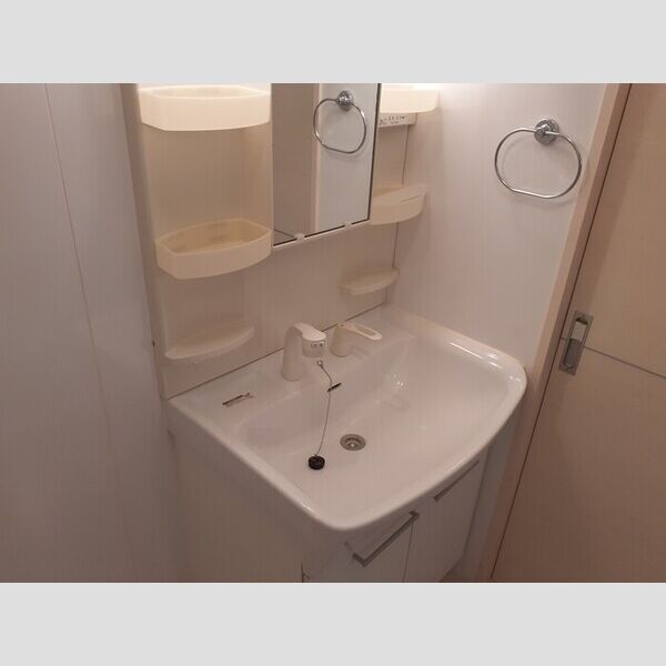 洗面所 (洗髪洗面化粧台)